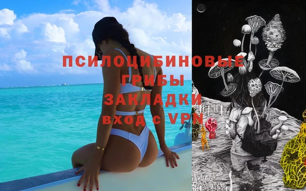 трава Армянск