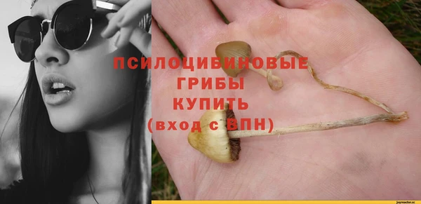 гашишное масло Аркадак