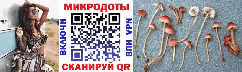 Галлюциногенные грибы мухоморы  Камбарка 